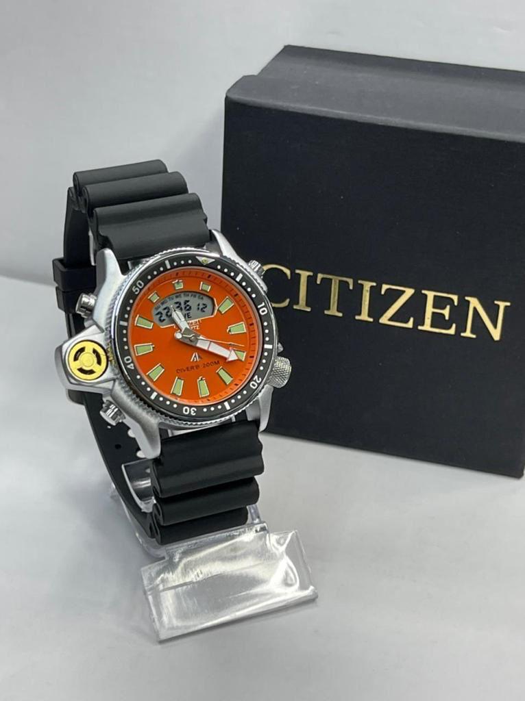 CITIZEN AQUALAND — foto 3