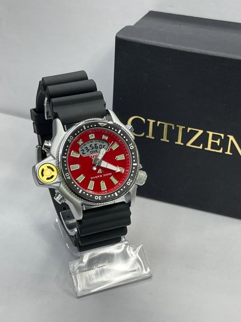 CITIZEN AQUALAND — foto 4