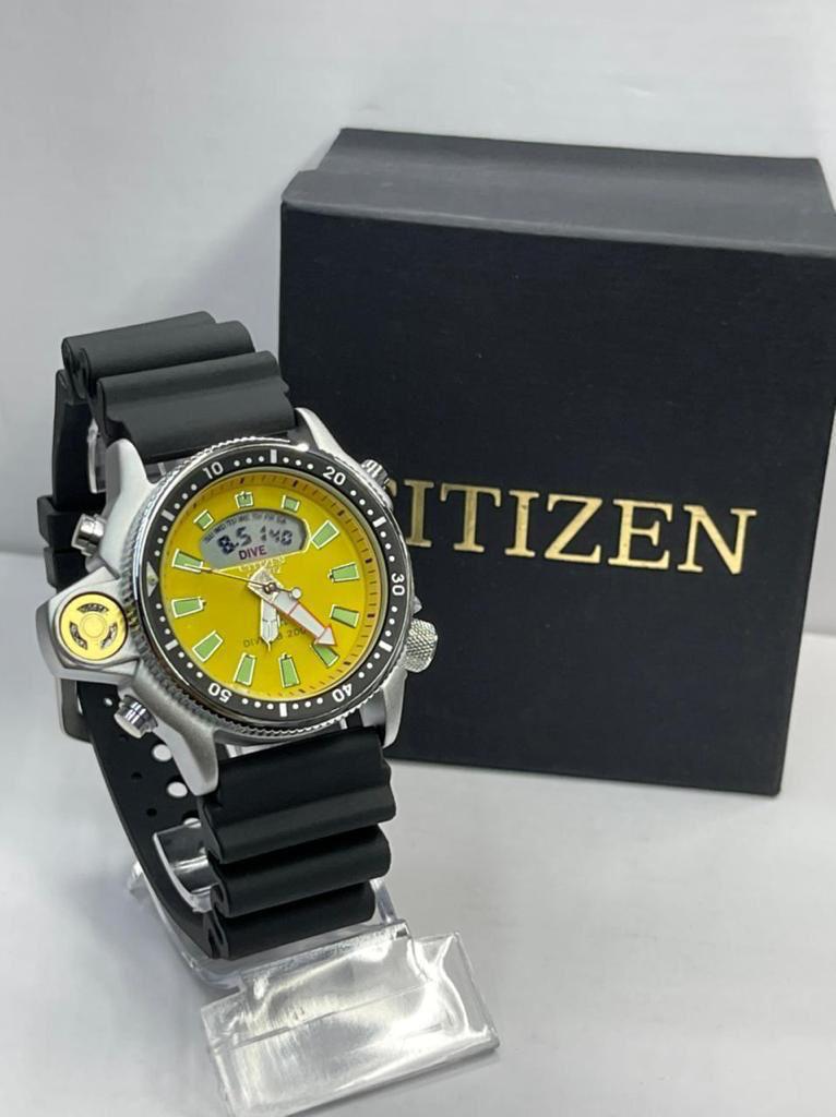 CITIZEN AQUALAND — foto 5