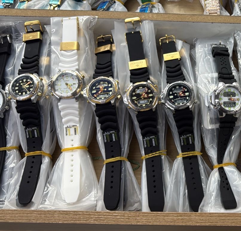 CITIZEN MODELO NOVO