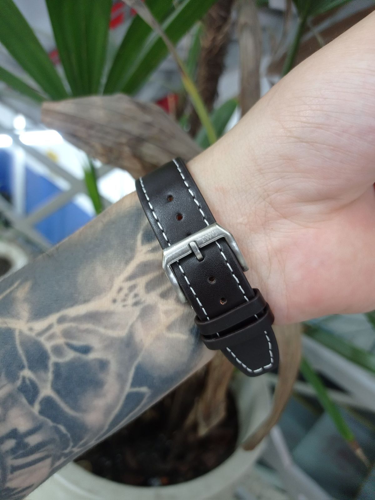 IWC — foto 8
